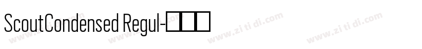 ScoutCondensed Regul字体转换